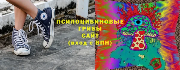 круглые Алзамай