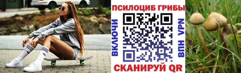 Галлюциногенные грибы Psilocybine cubensis  Трубчевск 